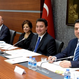 Deputy Prime Minister Ali Babacan’s Meeting with the G20 Engagement Groups