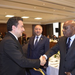Deputy Prime Minister Babacan’s G20 Working Lunch with LIDC Ambassadors in Ankara