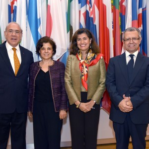 Turkey's G20 Sherpa Ambassador Sinirlioğlu Spoke at the OECD Council