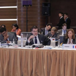 Third Meeting of the G20 Development Working Group held in Izmir
