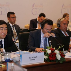 Fourth Meeting of the G20 Development Working Group held in Antalya